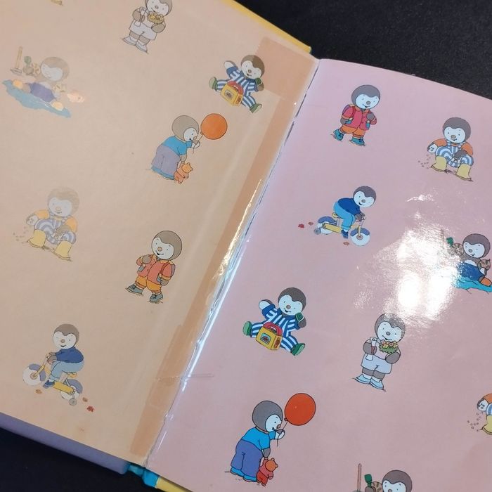 Lot de 4 Livres enfant Nathan T'choupi - photo numéro 4