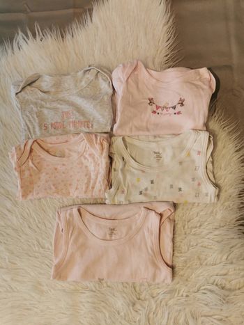 Lot de 5 bodies manches courtes