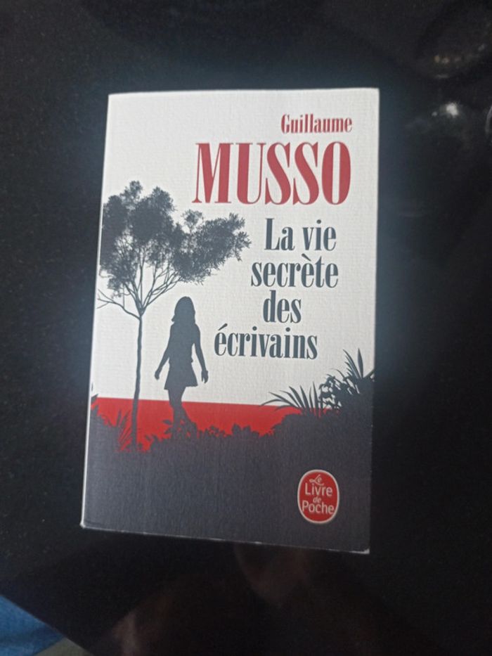 La vie secrète des écrivains - photo numéro 2
