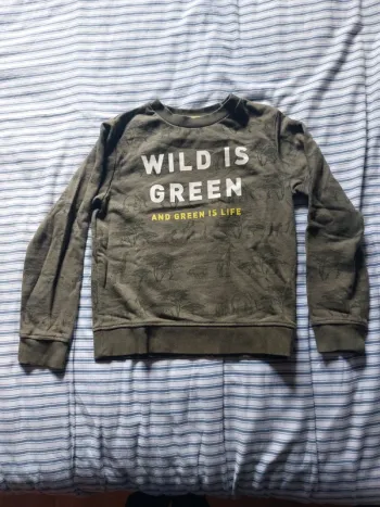 Joli sweat kaki dinosaures