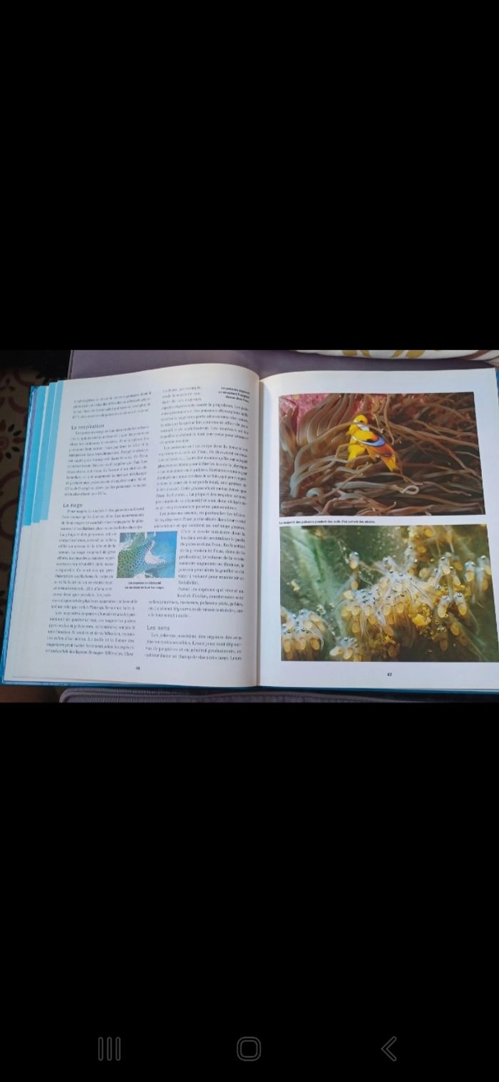 Livre encyclopédie Mers et Fonds marins - photo numéro 4