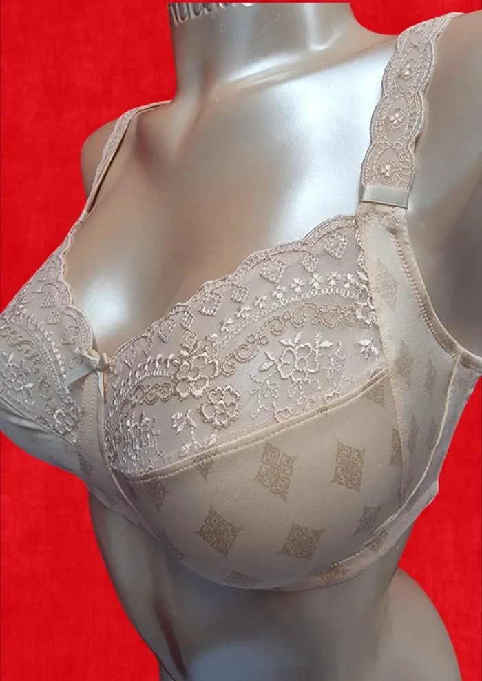 Rosa Faïa (Anita) soutien gorge sans armatures Mila * 95E * - photo numéro 3
