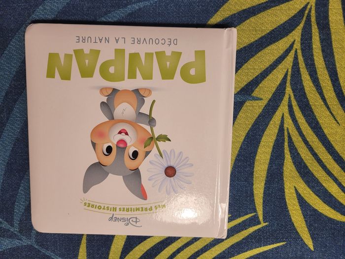 Livre panpan découvre la nature Disney mes premières histoires