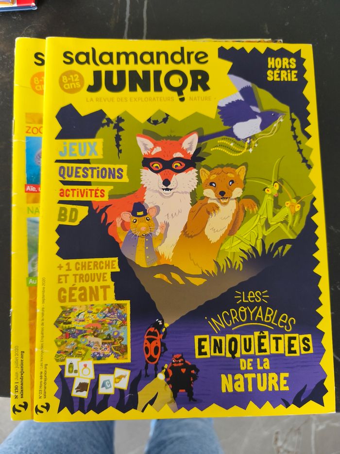 Salamandre junior - photo numéro 6