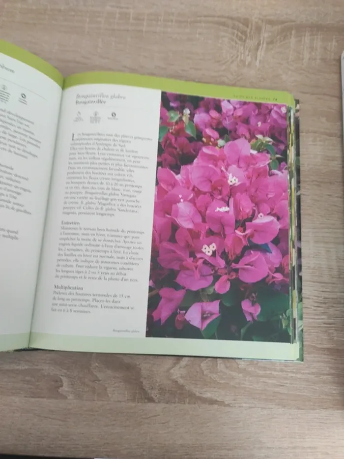 Livre guide sur les plantes d'intérieur - photo numéro 3