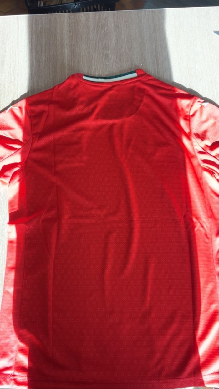 Maillot Portugal - photo numéro 2