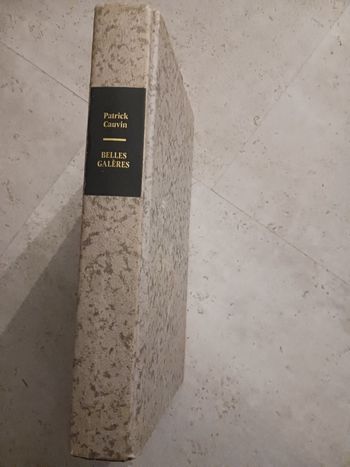 livre belles galères Patrick Cauvin