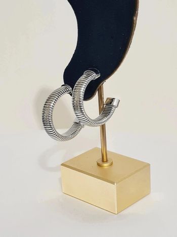 Créoles argentées '