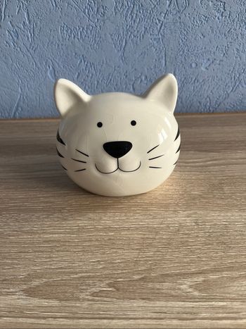 Tirelire chat