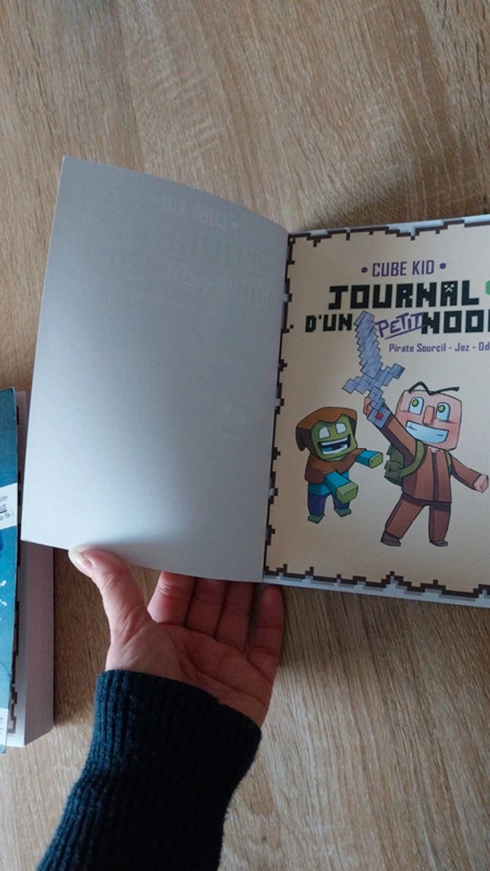 Livres minecraft - photo numéro 5