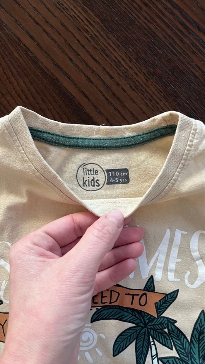 Lot t-shirts garçon 110cm ou 5 ans - photo numéro 3