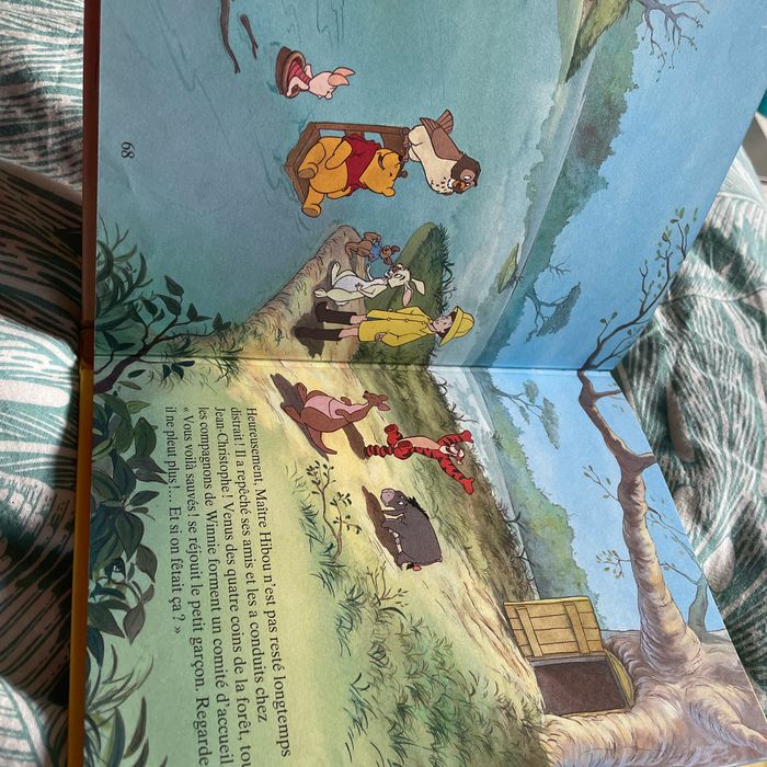 Livre Disney - photo numéro 3