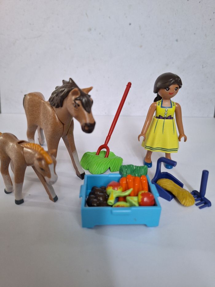 Figurines set de jeux playmobil spirit