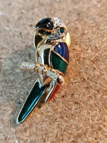 Broche perroquet