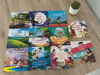 Lot livres macdo
