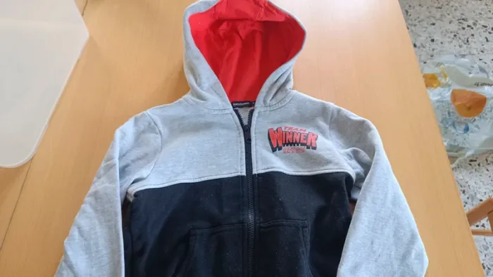 Veste à capuche molleton - photo numéro 6