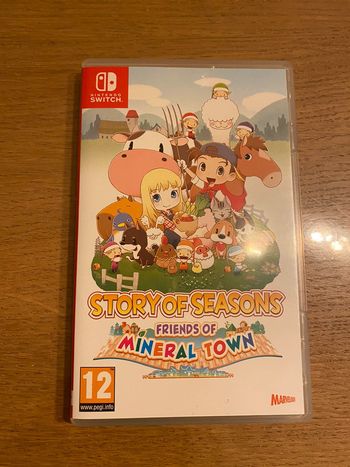 Jeu Nintendo Switch Story Of Seasons