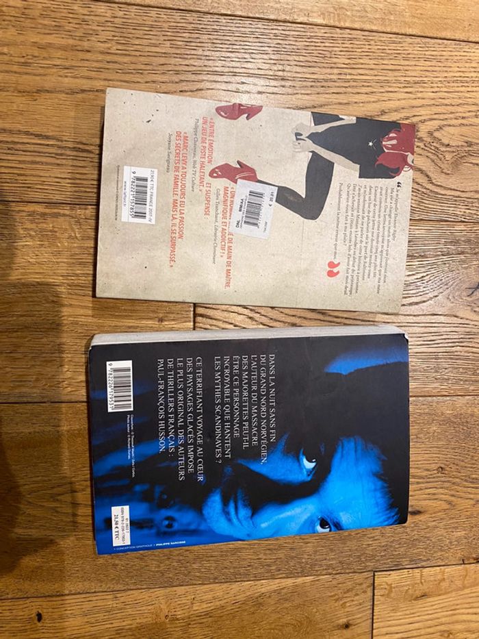 Lot de 2 livres Lévy/ Husson grands formats - photo numéro 2