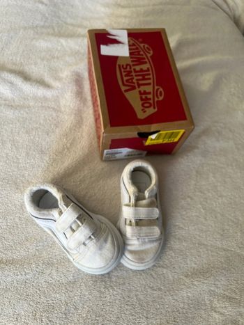 Vans beige