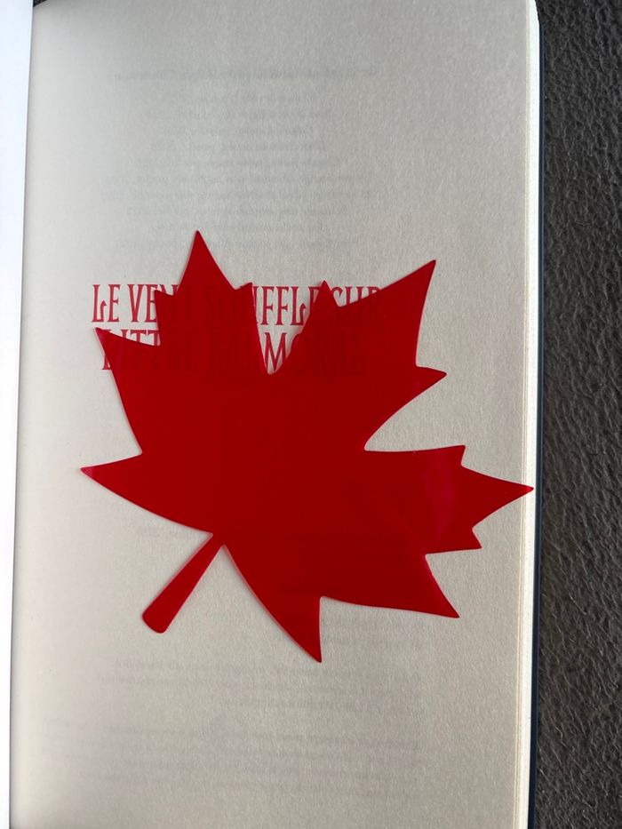 Le vent souffle sur Little Balmoral - photo numéro 5