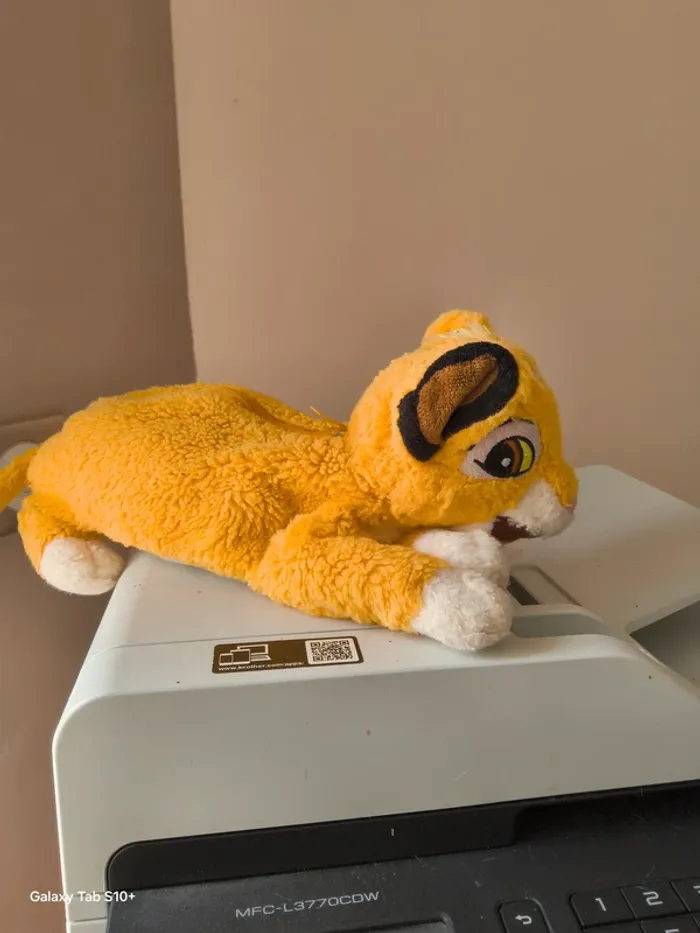 Trousse Simba Roi Lion 🦁 - photo numéro 2
