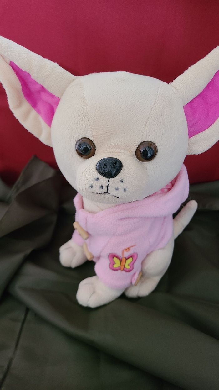 Chihuahua chien, peluche 30cm (Brandnew Chihuahua dog stuffed plush