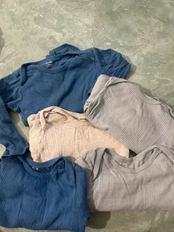Bodies