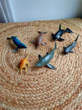 Lot animaux marin
