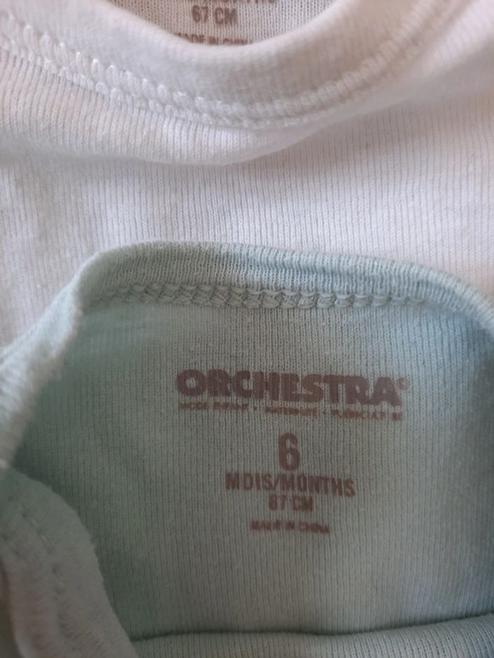 Lot body - photo numéro 5