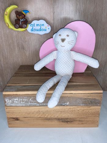 BC71 doudou chat 🐱 bout’chou