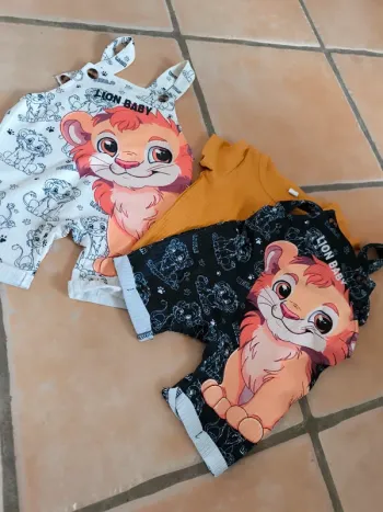 Deux ensemble lions