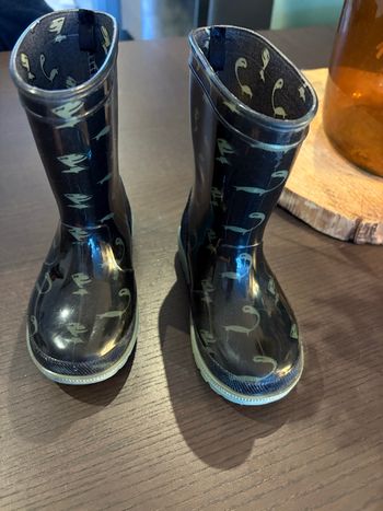 Bottes de pluie dinausores