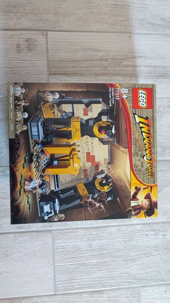 Lego Indiana Jones 77013 L'évasion du tombeau perdu