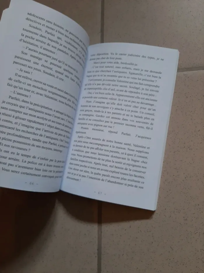 Livre sgan les secrets de l anneau - photo numéro 3