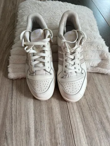 Basket Adidas