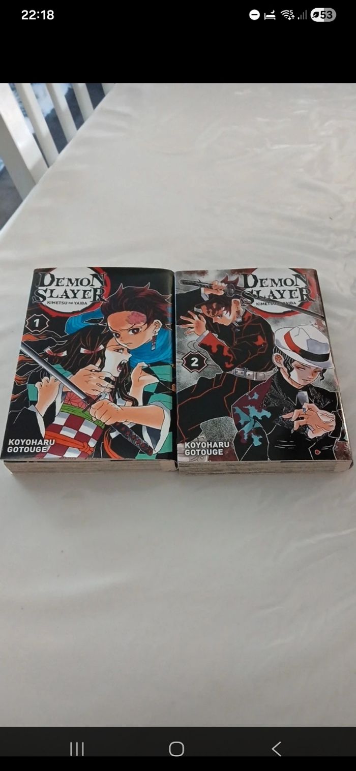 Lot de 2 mangas Demon Slayer tome 1 et 2