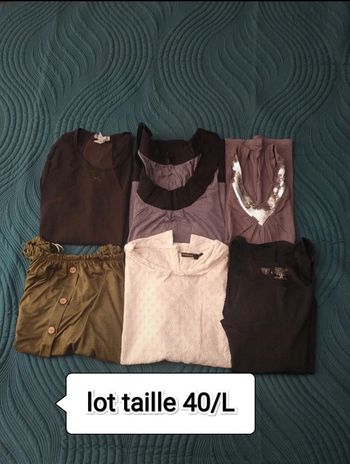 Lot vêtements femme 40/L
