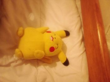Peluche pokémon