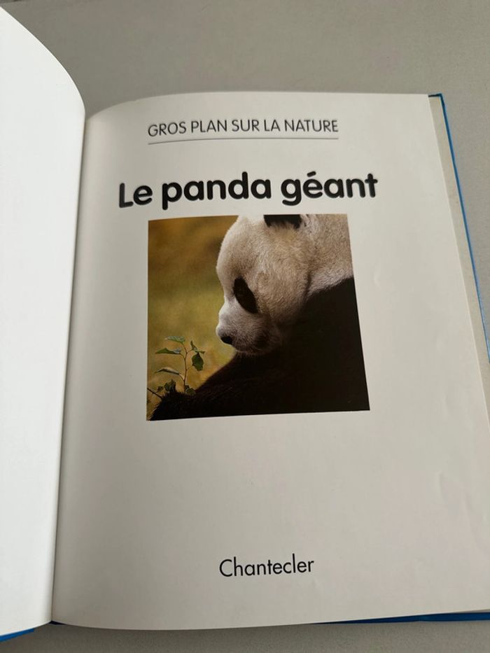 Le panda géant gros plan édition chantecler - photo numéro 2