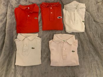 Lot polo Lacoste