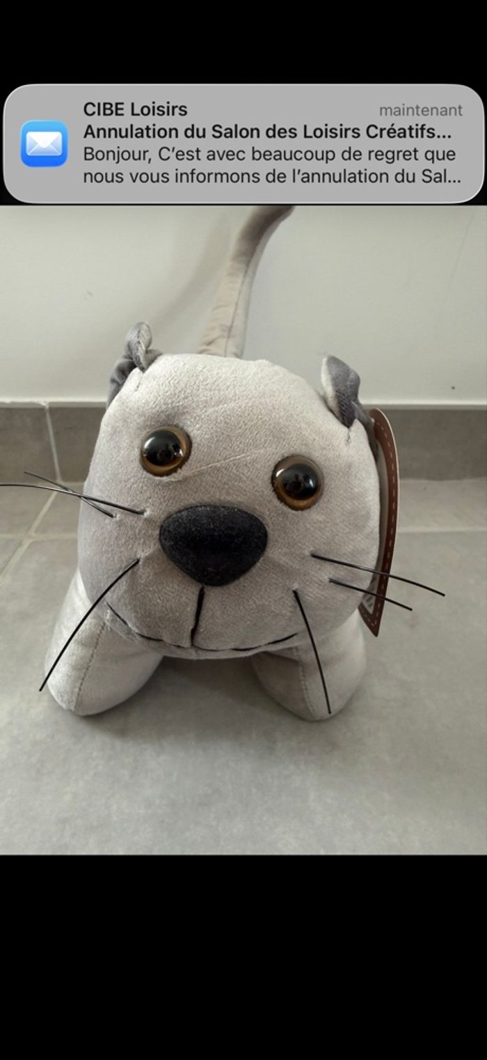 Cale porte Chat tout doux - photo numéro 2