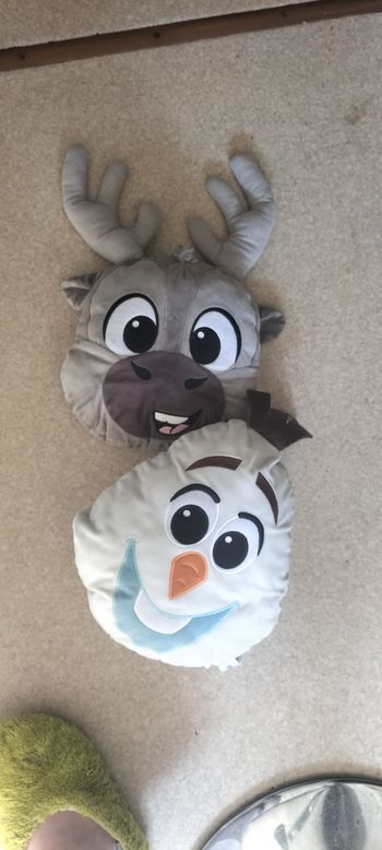 2 coussins reine des neiges