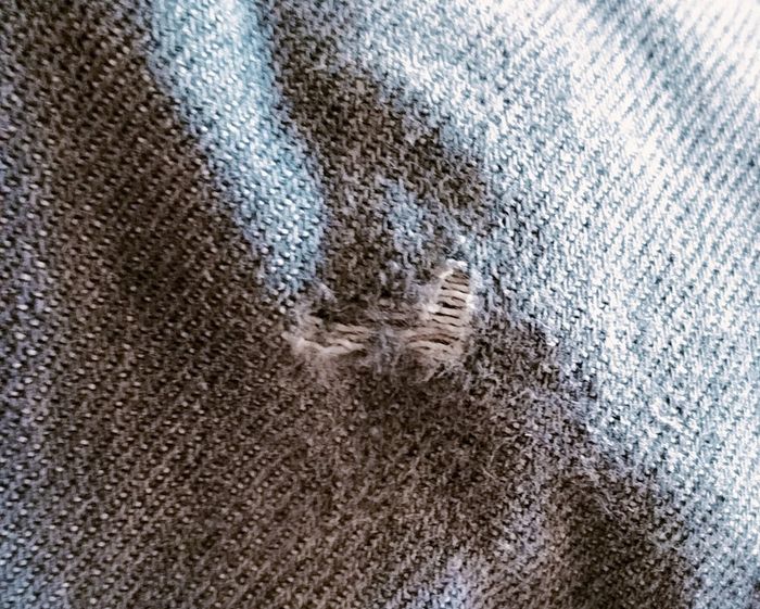 Pantalon - photo numéro 6