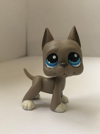 Pet shop : danois #184
