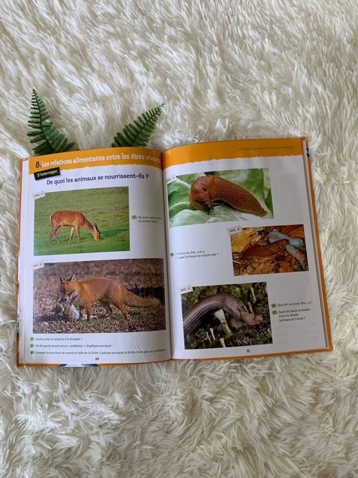 Livre Sciences expérimentales et technologies CE2 - photo numéro 3