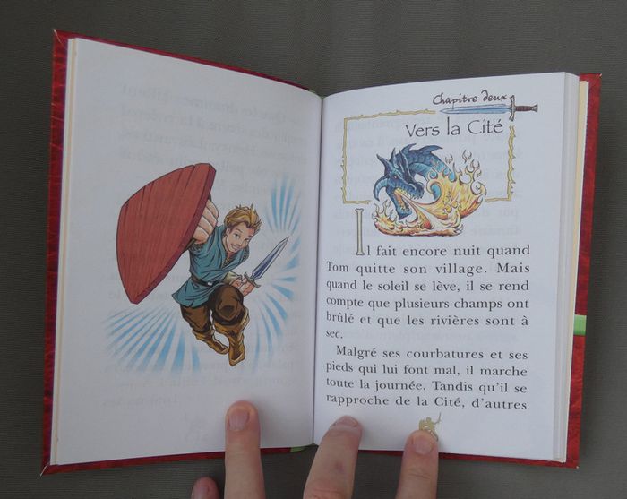 Livre d'aventures "Beast Quest : le dragon de feu" - photo numéro 3