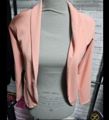 Blazer rose 14a