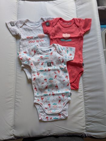 Lot  30  bodies