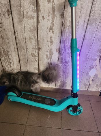 Trottinette électrique