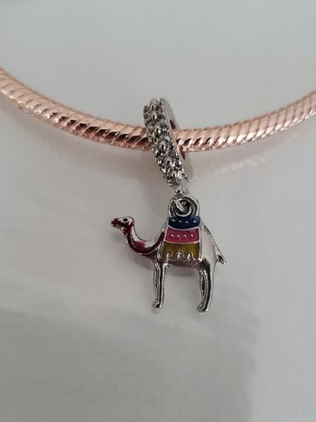 Charms pour bracelet chameau 🐫